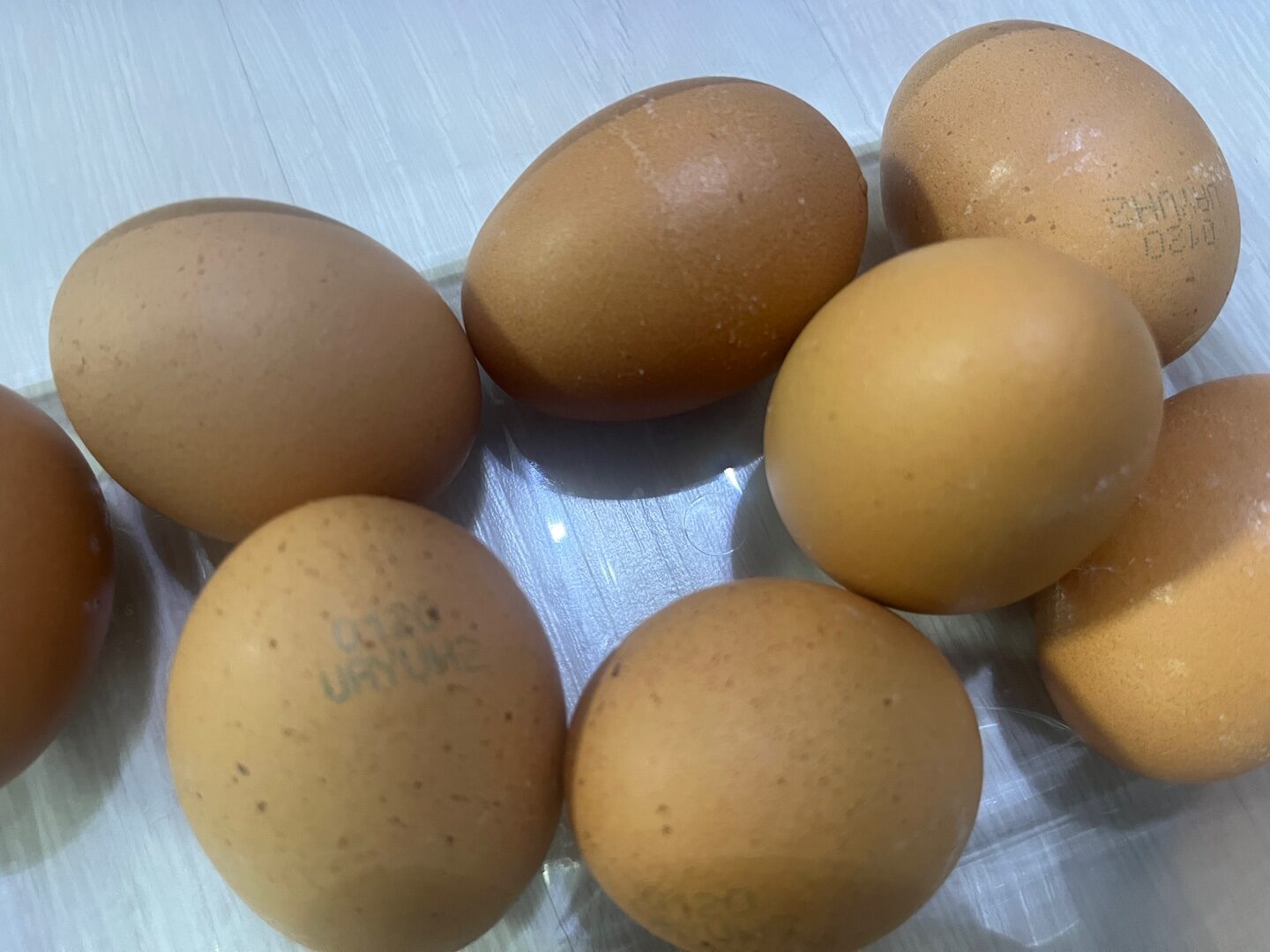 계란 유통기한 확인 및 소비기한 지난 계란 판별법